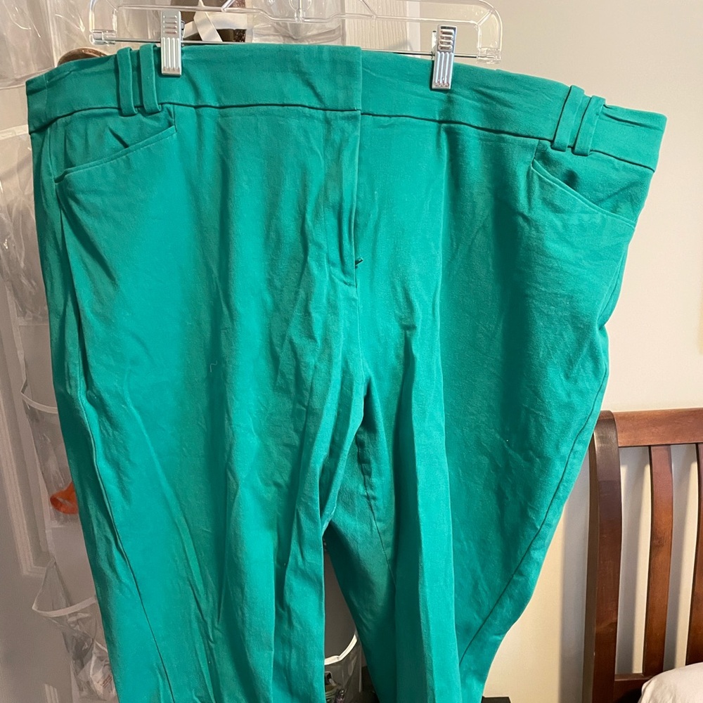 The Allie capri by lane bryant